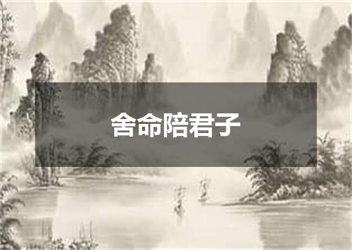 舍命陪君子