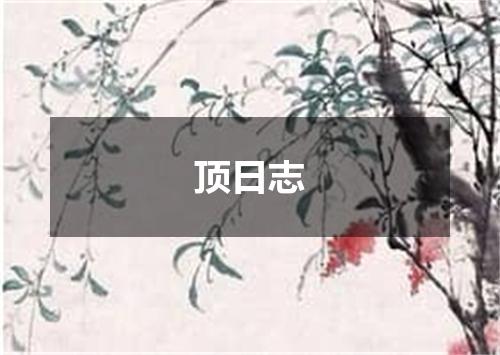 顶日志