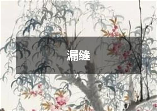 漏缝