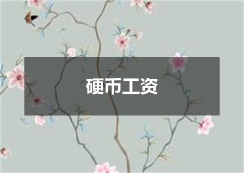 硬币工资