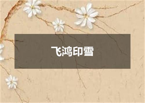 飞鸿印雪