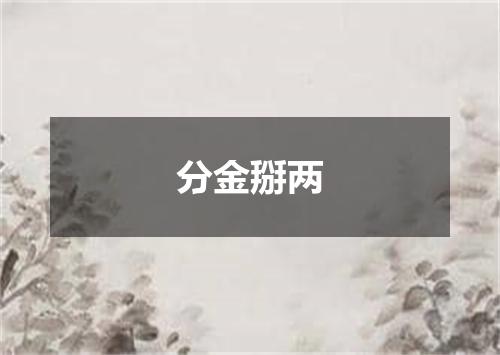 分金掰两