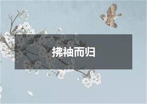 拂袖而归