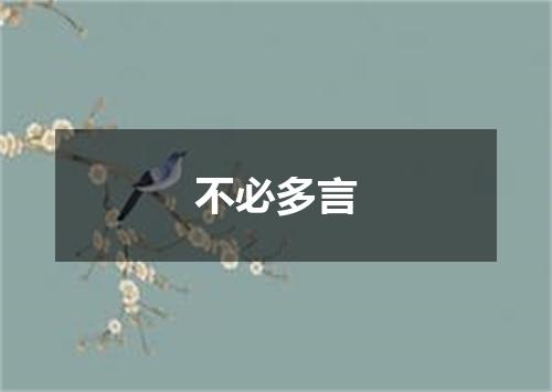 不必多言
