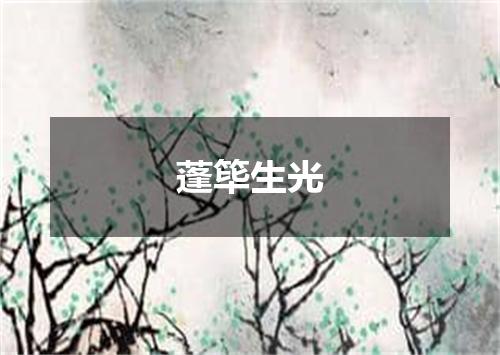 蓬筚生光
