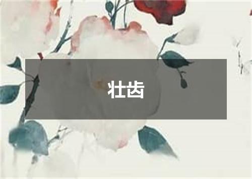 壮齿