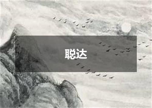 聪达