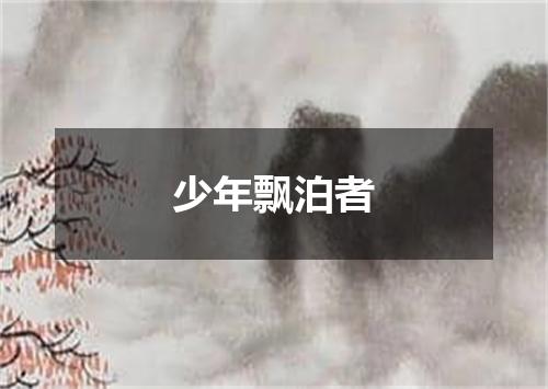 少年飘泊者