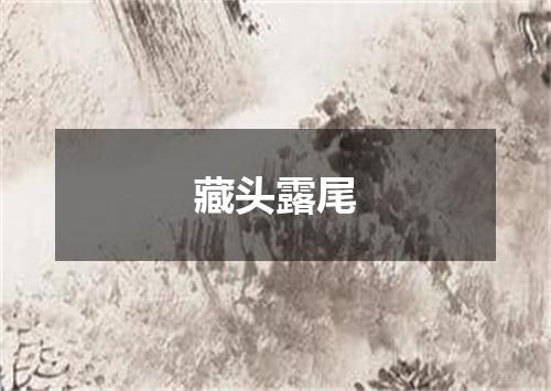 藏头露尾
