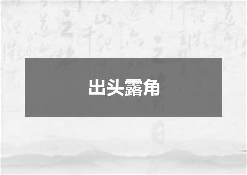 出头露角
