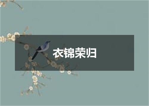 衣锦荣归