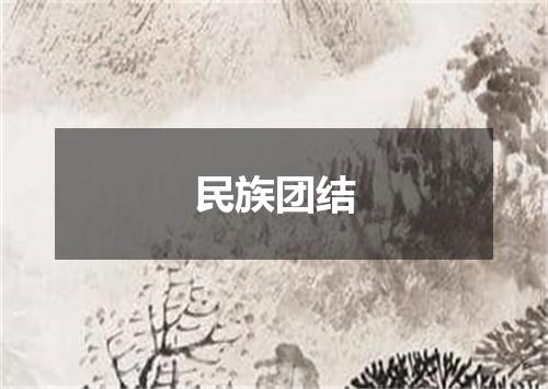 民族团结