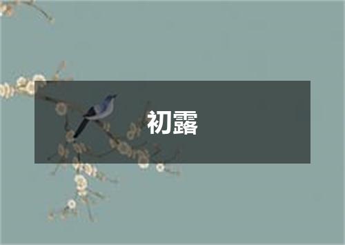 初露