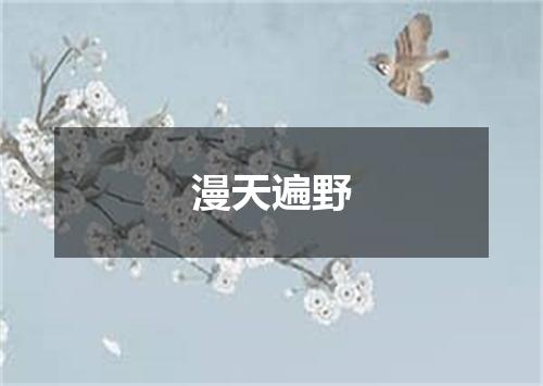 漫天遍野