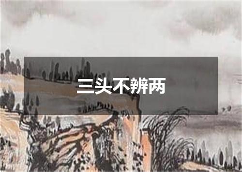 三头不辨两