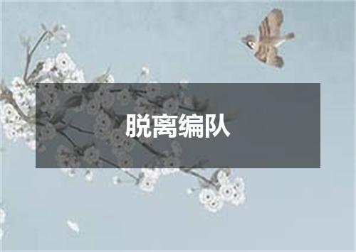 脱离编队