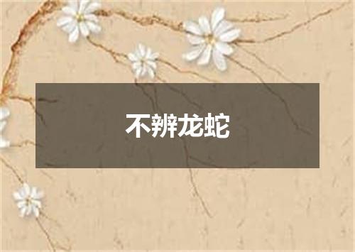 不辨龙蛇
