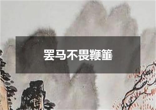罢马不畏鞭箠