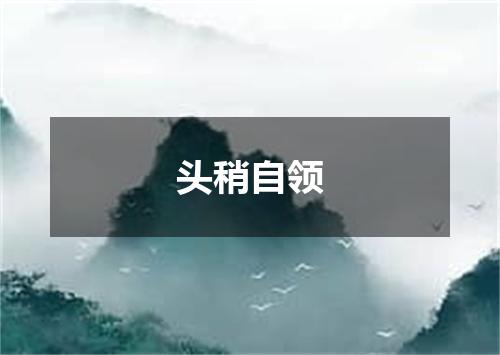 头稍自领