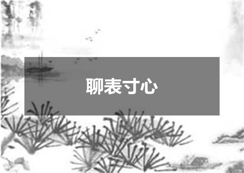 聊表寸心