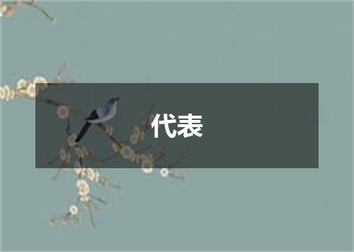 代表