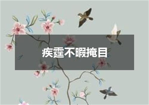 疾霆不暇掩目