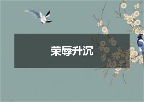 荣辱升沉