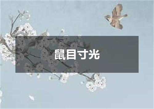 鼠目寸光