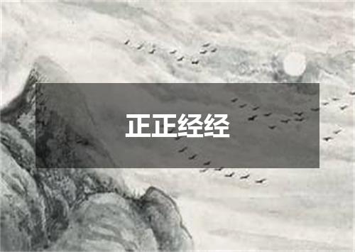 正正经经