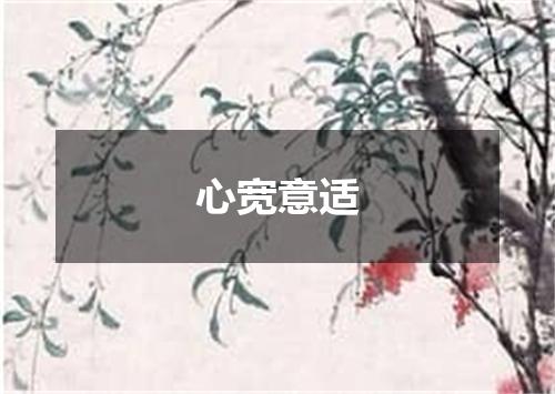 心宽意适