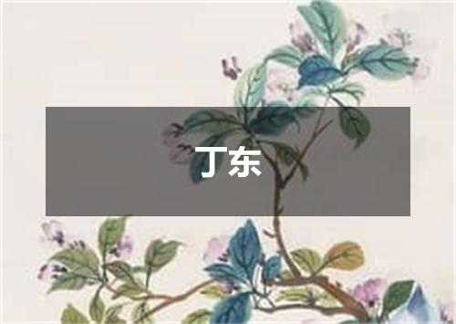 丁东