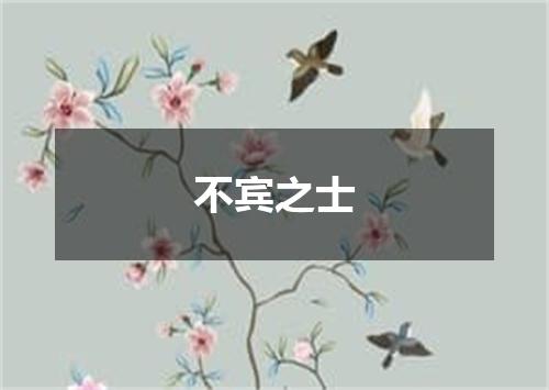 不宾之士
