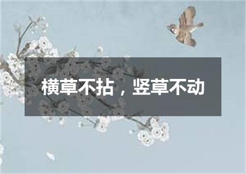 横草不拈，竖草不动