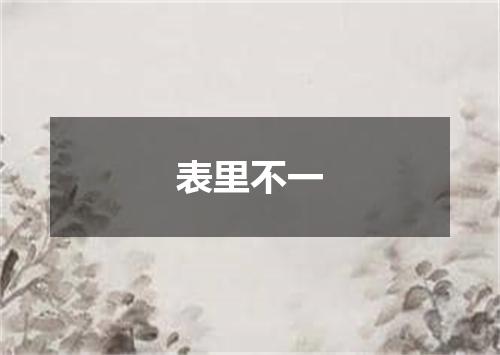 表里不一