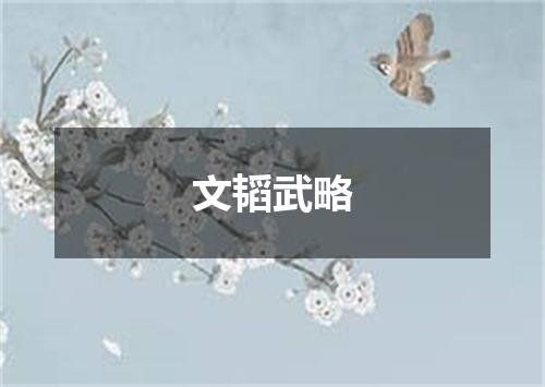 文韬武略
