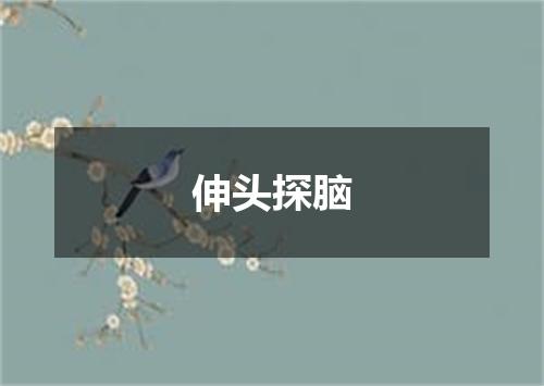 伸头探脑
