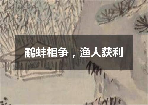 鹬蚌相争，渔人获利