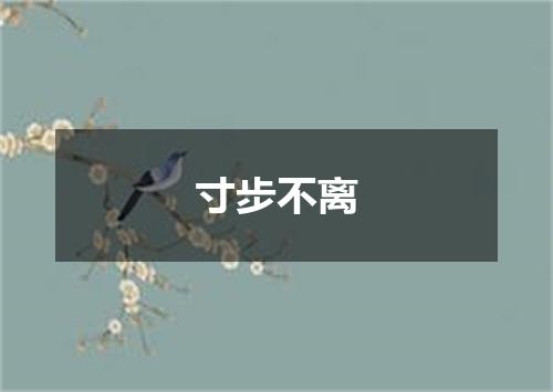 寸步不离
