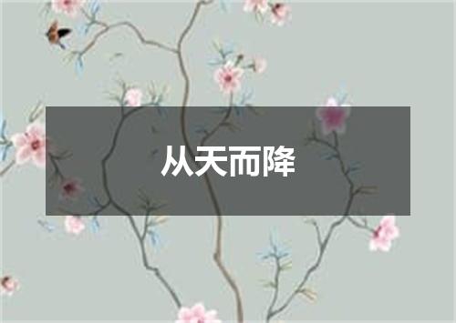从天而降