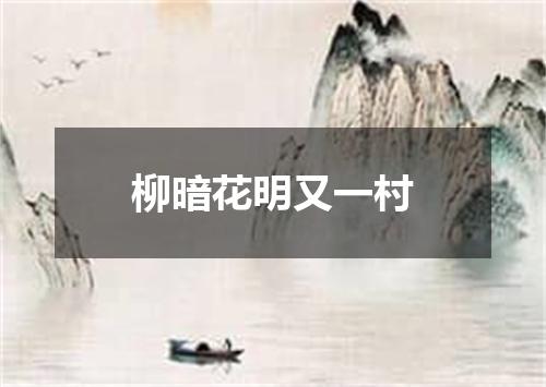 柳暗花明又一村