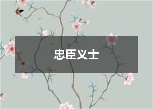 忠臣义士是什么意思