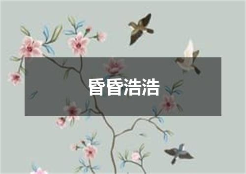 昏昏浩浩