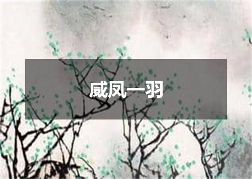威凤一羽