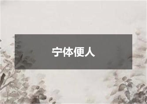 宁体便人是什么意思