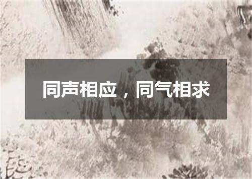 同声相应，同气相求