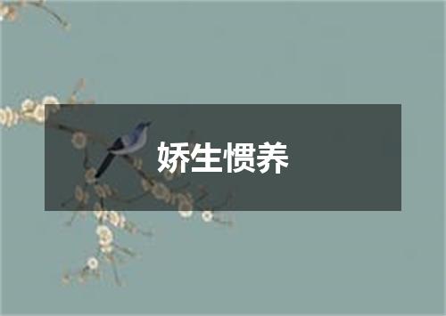 娇生惯养