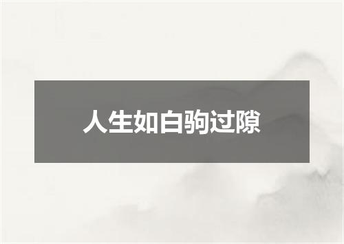人生如白驹过隙