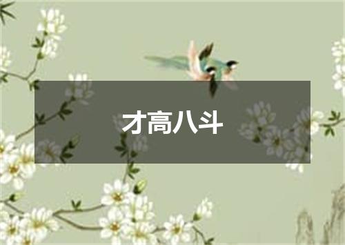才高八斗