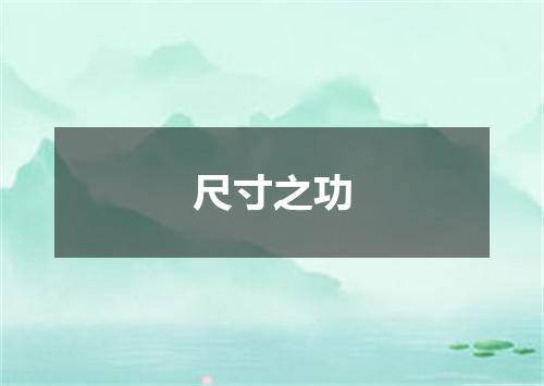 尺寸之功