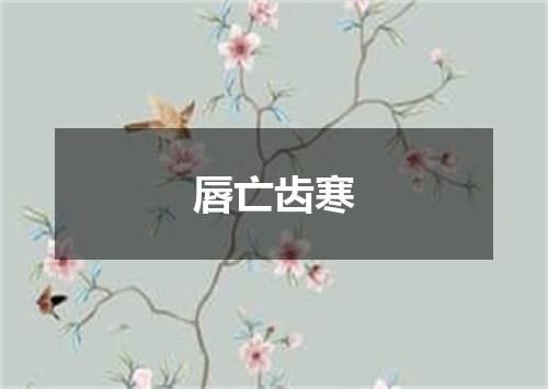 唇亡齿寒